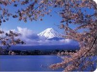 富士山と桜